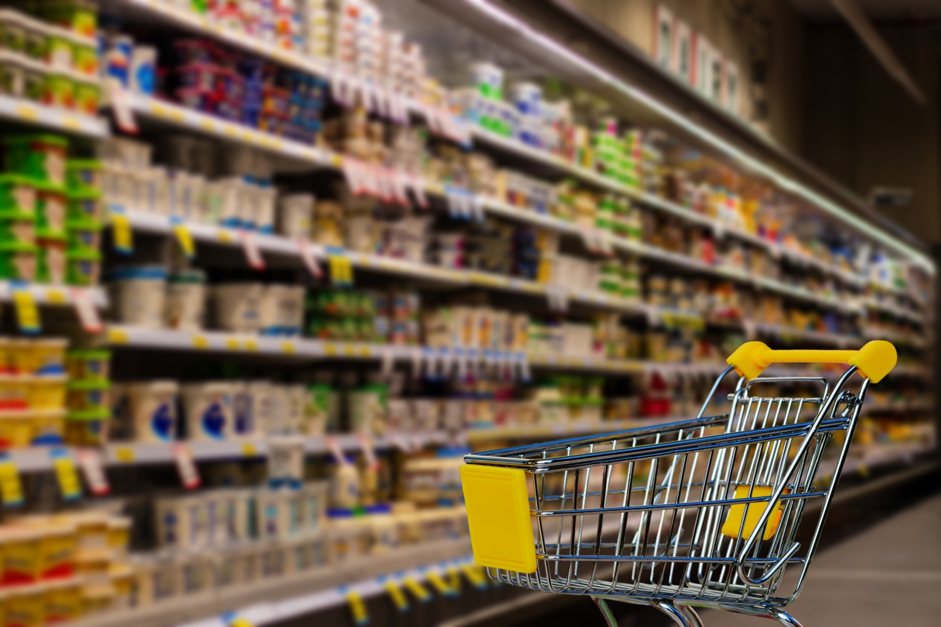 terzis trade supermarket bg1